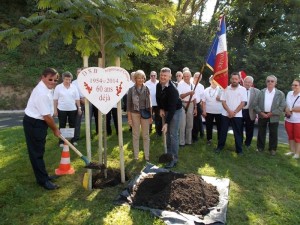 Lors de la plantation de l'arbre de la solidarité dans la cour de la maison de santé pluridisciplinaire.