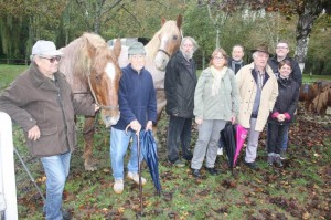 FOIRE_CHEVAUX_PONT