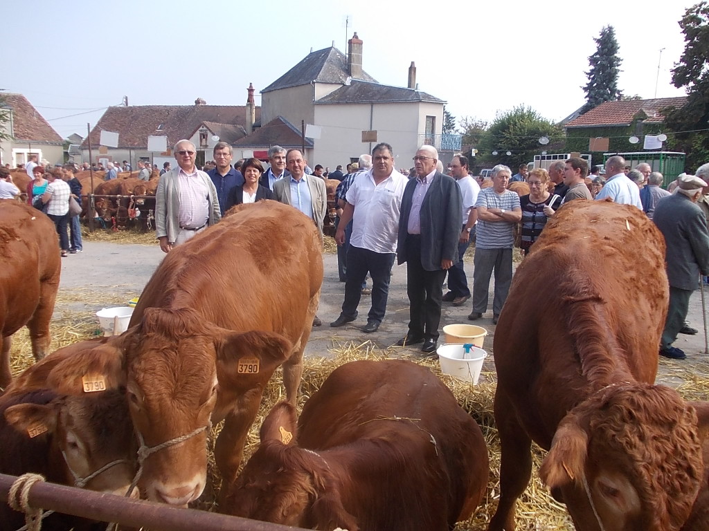 rencontre argenton sur creuse